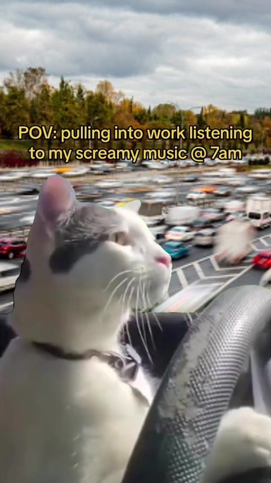 TikTok video thumbnail by brokenheartmanagement