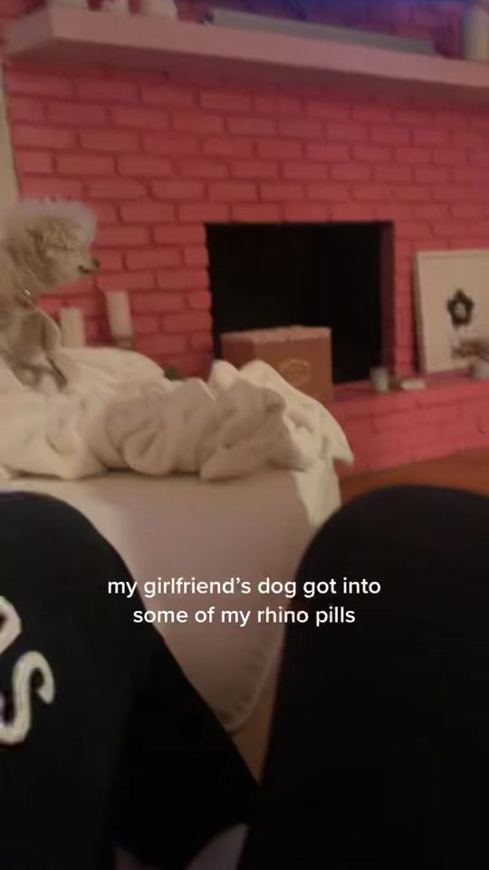 TikTok video thumbnail by toddysmith