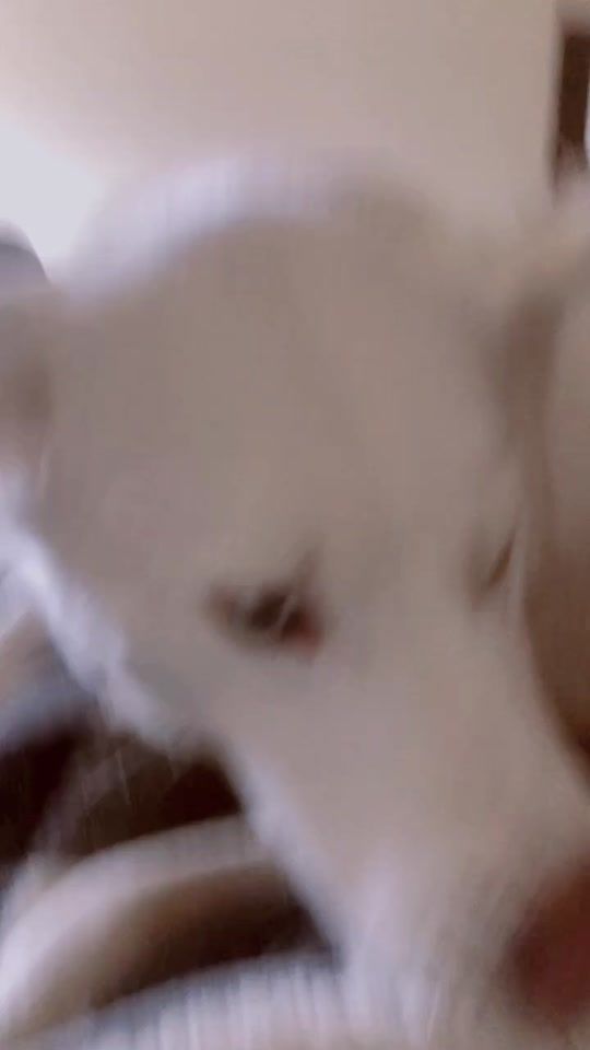 TikTok video thumbnail by taybug96