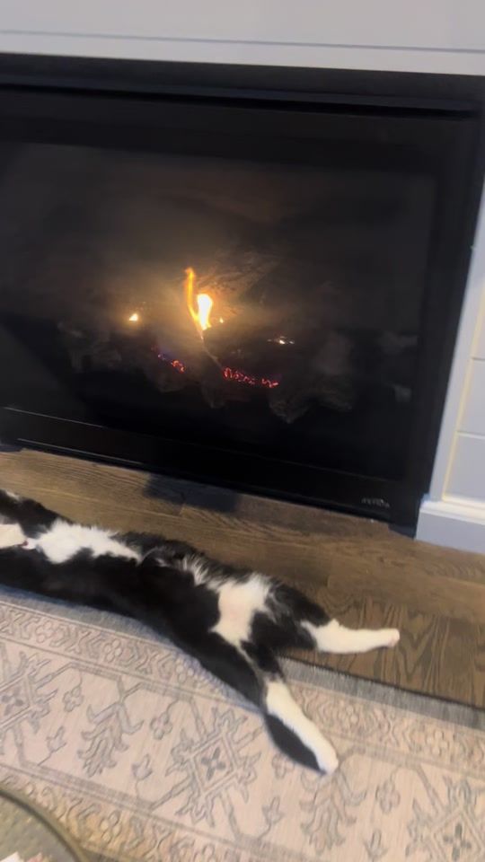 TikTok video thumbnail by mriley919