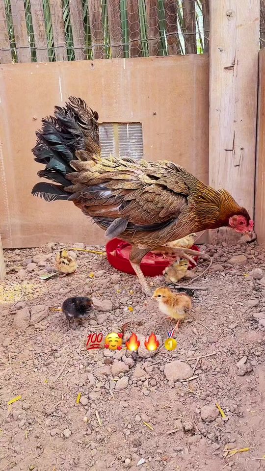 TikTok video thumbnail by ramosgamefarm1997