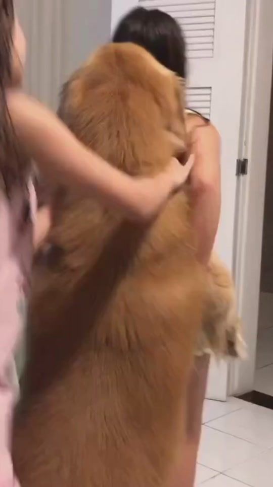 TikTok video thumbnail by fur.paw