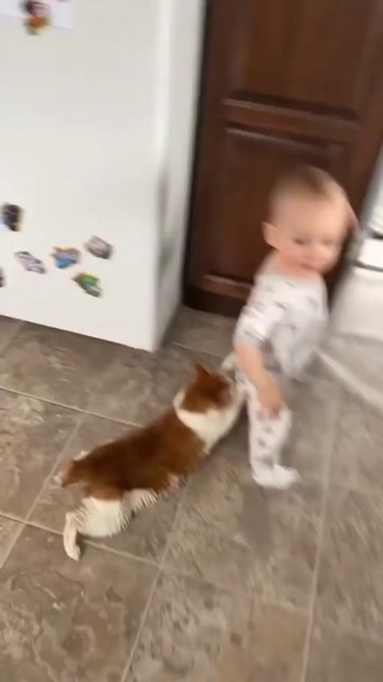 TikTok video thumbnail by ocjck1983