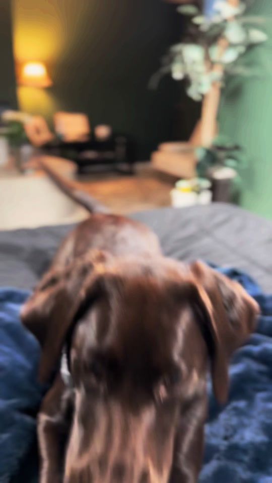 TikTok video thumbnail by truelyrudeboi