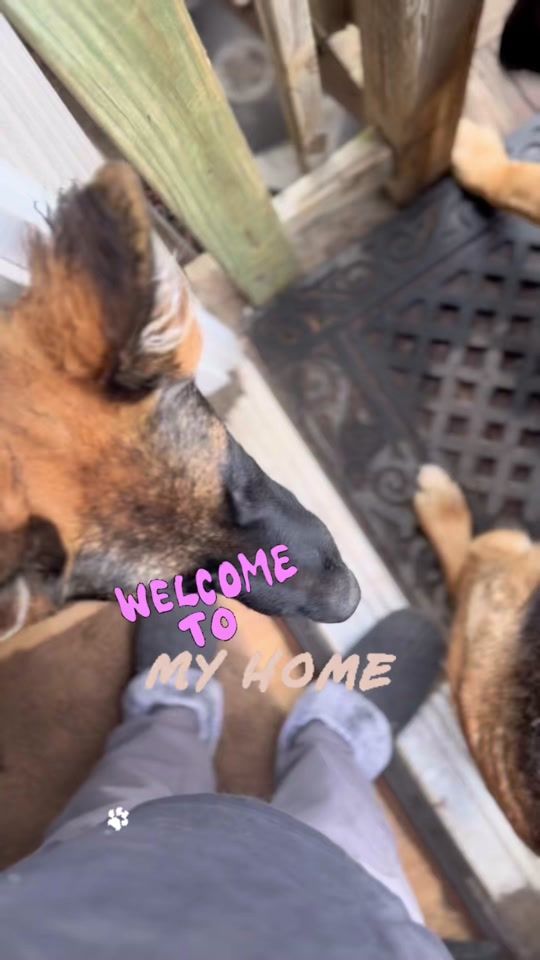 TikTok video thumbnail by chickenchick86