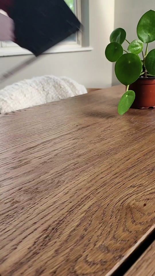 TikTok video thumbnail by nixsspaints