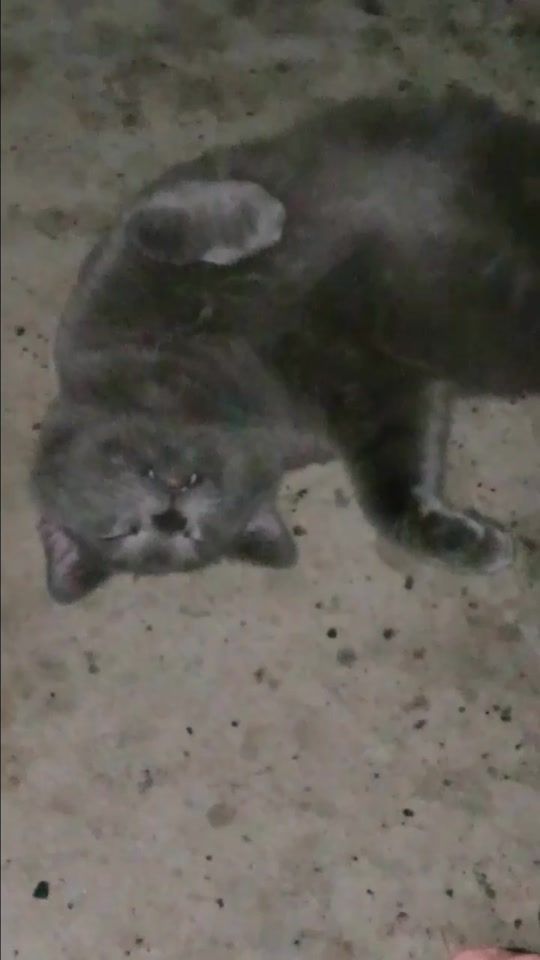 TikTok video thumbnail by istomponnailsbarefoot