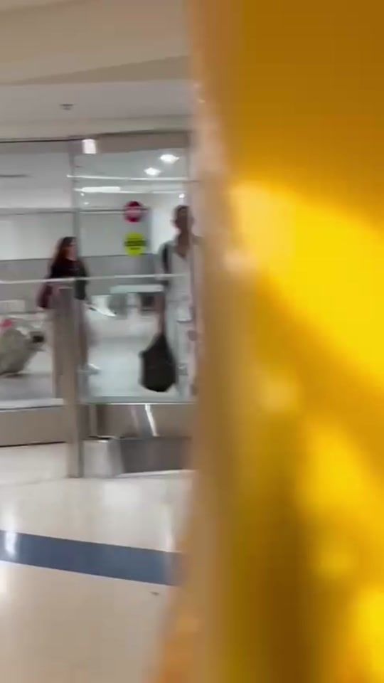 TikTok video thumbnail by karlitag.h2714