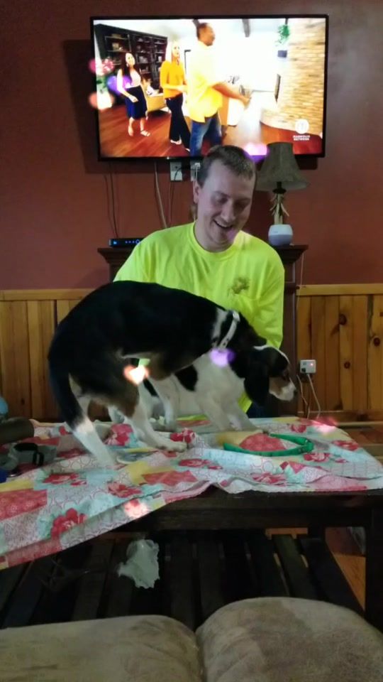 TikTok video thumbnail by bboppinbeagle
