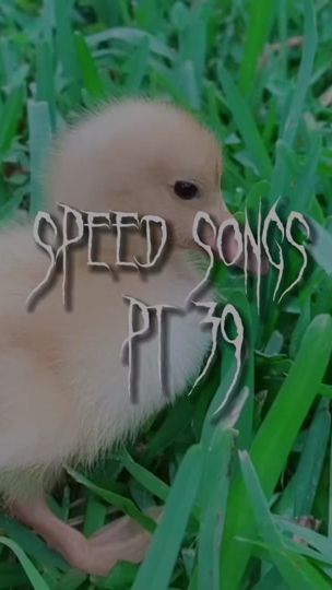 TikTok video thumbnail by speedsongy
