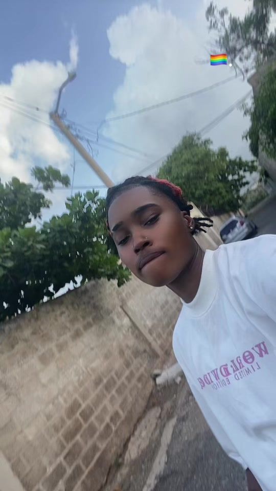 TikTok video thumbnail by nonchalant_shack