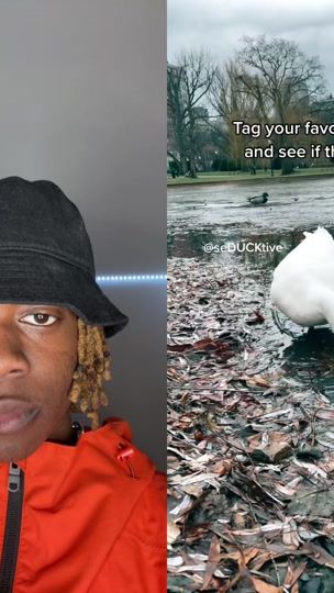 TikTok video thumbnail by greeningg_ugc