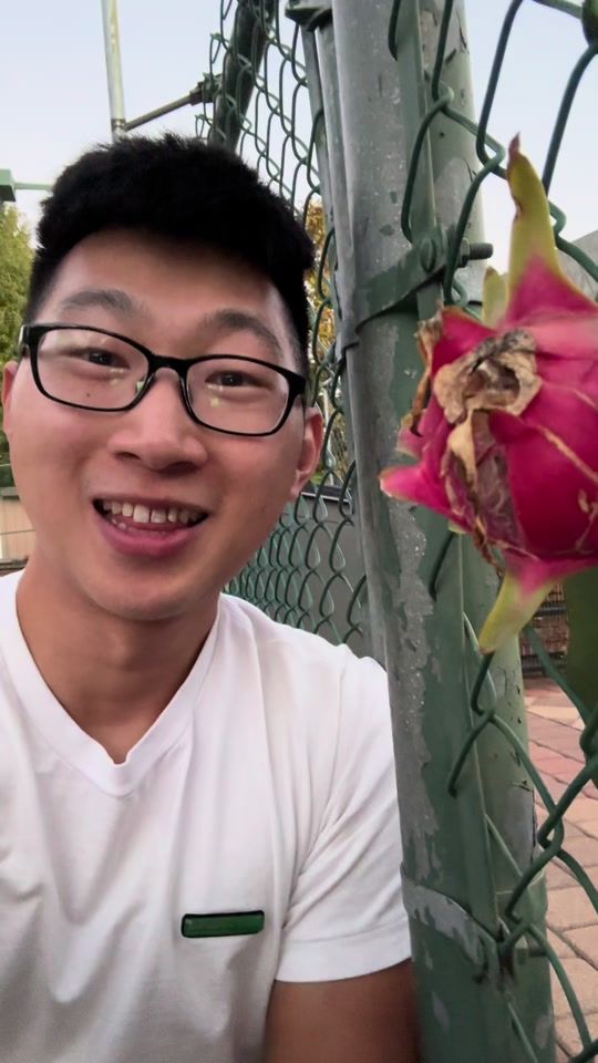 TikTok video thumbnail by simplegardener