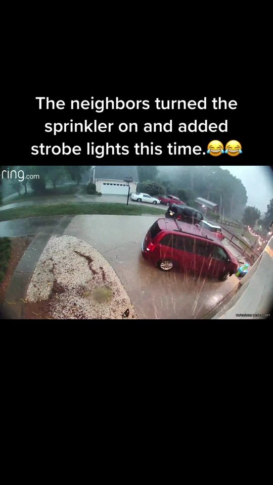 TikTok video thumbnail by staceybradyscott