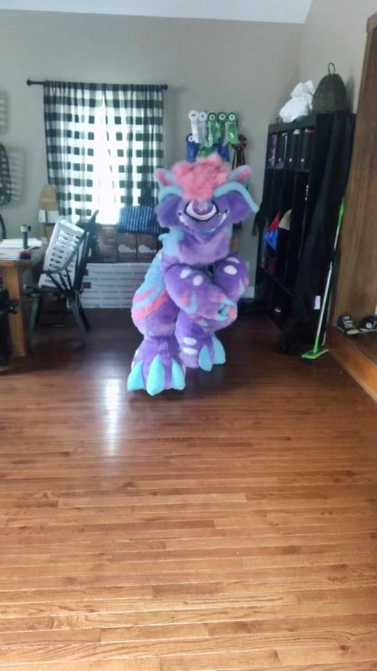 TikTok video thumbnail by felixfurzexotics