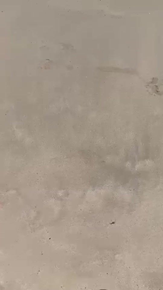 TikTok video thumbnail by jainaleeortiz