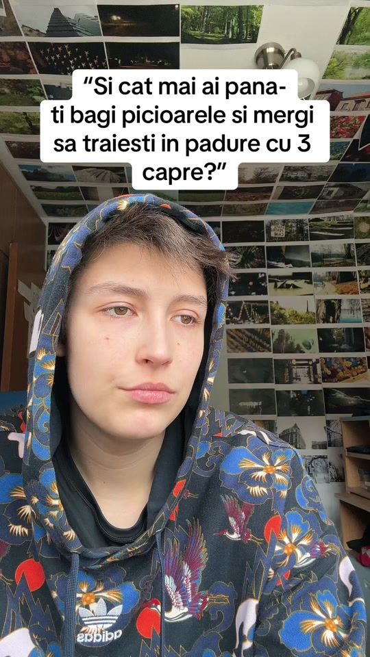 TikTok video thumbnail by laura_cea_vaidaa