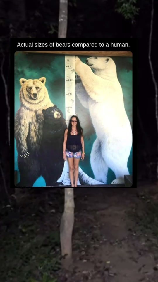 TikTok video thumbnail by eeriestories