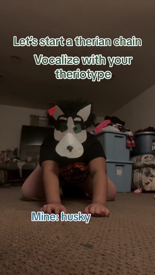 TikTok video thumbnail by husky_untamed0