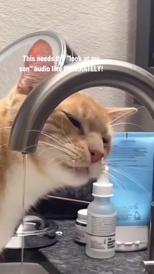TikTok video thumbnail by aryaloveu4