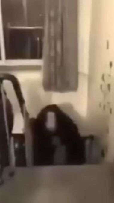 TikTok video thumbnail by xxtreiiixx