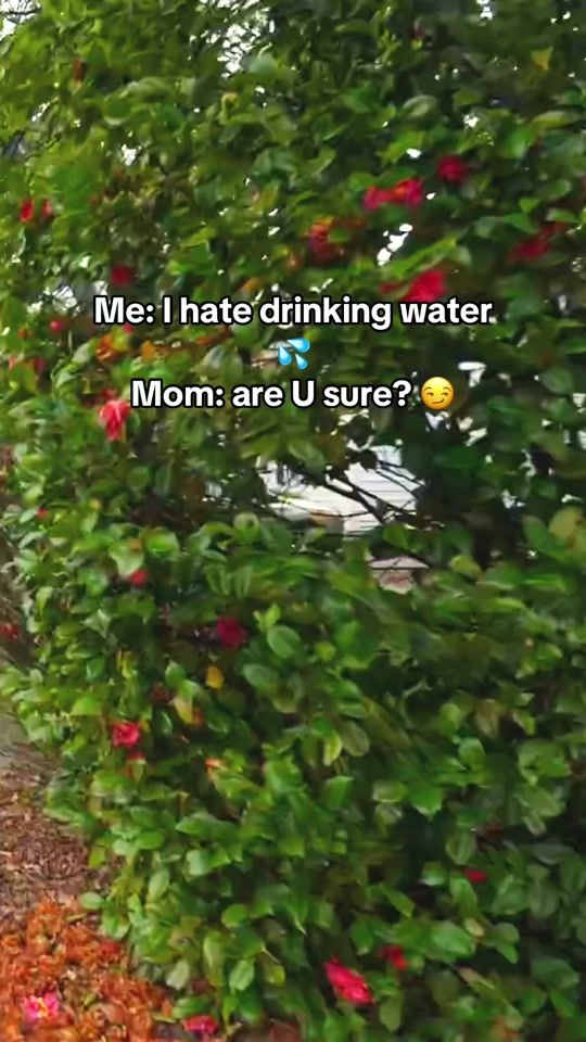 TikTok video thumbnail by usshopprofile