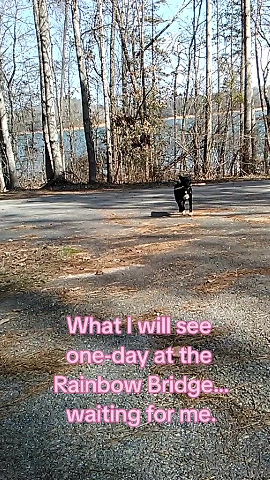 TikTok video thumbnail by tammydlyle75