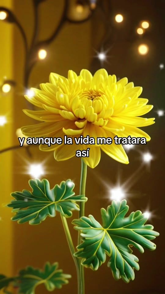 TikTok video thumbnail by lopezaracely1992