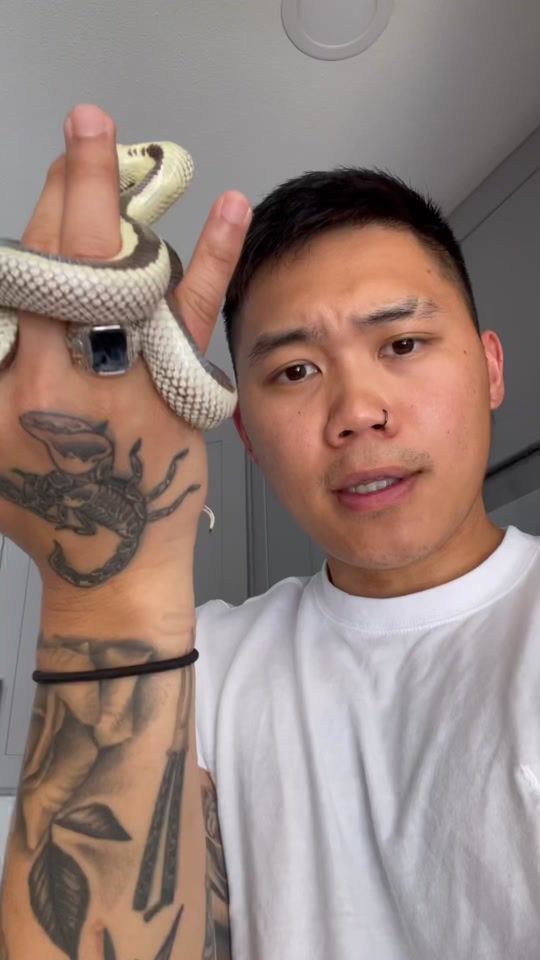 TikTok video thumbnail by donaldsonthe3rd