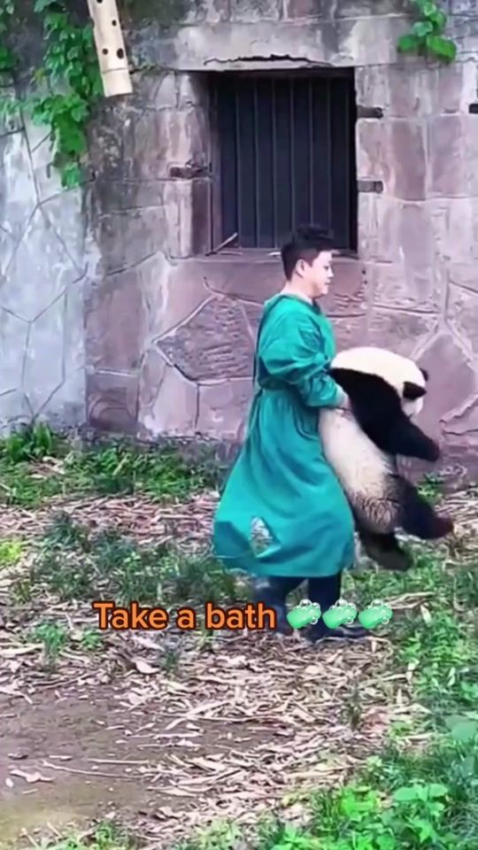 TikTok video thumbnail by pandahouse98