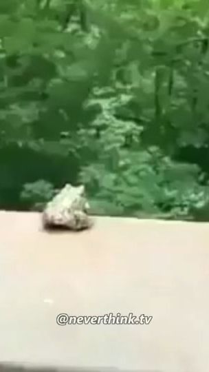 TikTok video thumbnail by neverthinktv