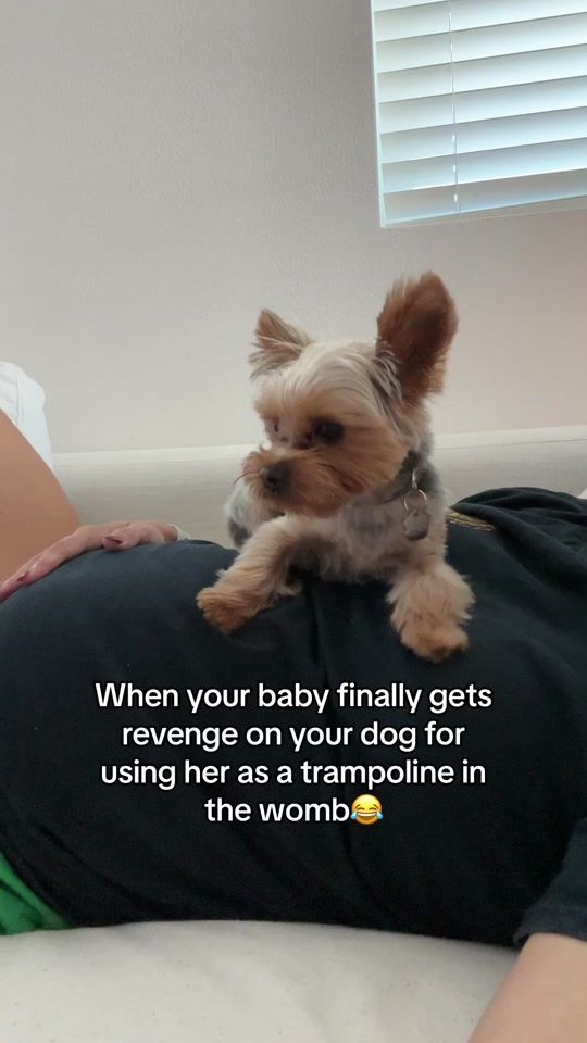 TikTok video thumbnail by zillaandthanos