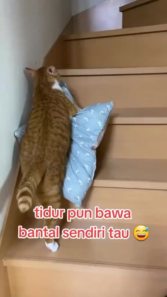 TikTok video thumbnail by kokotaiko2
