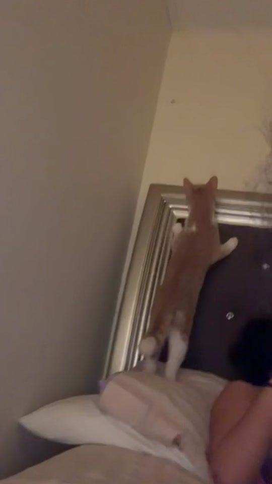 TikTok video thumbnail by hasanvate