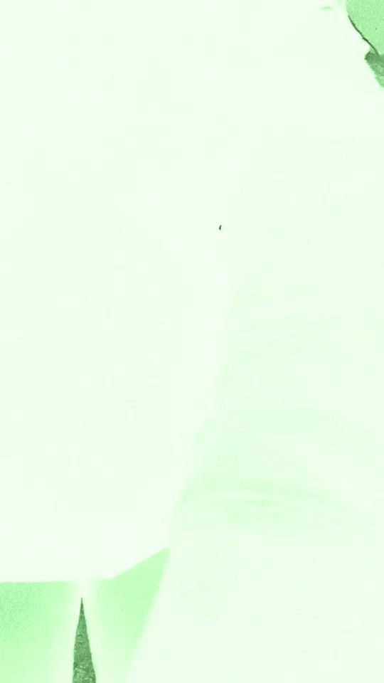 TikTok video thumbnail by dimpledmplng