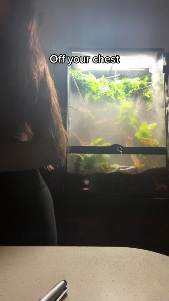 TikTok video thumbnail by greysymmetrical