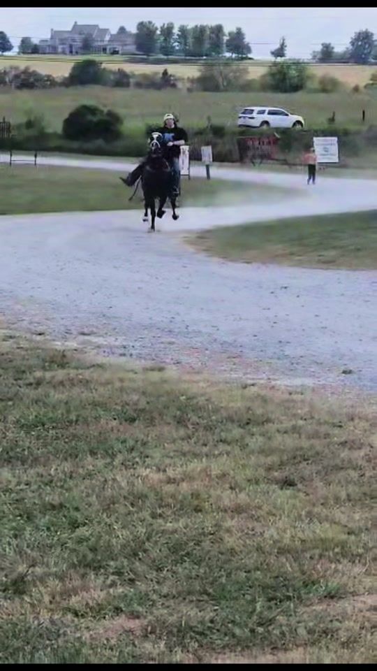 TikTok video thumbnail by horsegirlkrissy