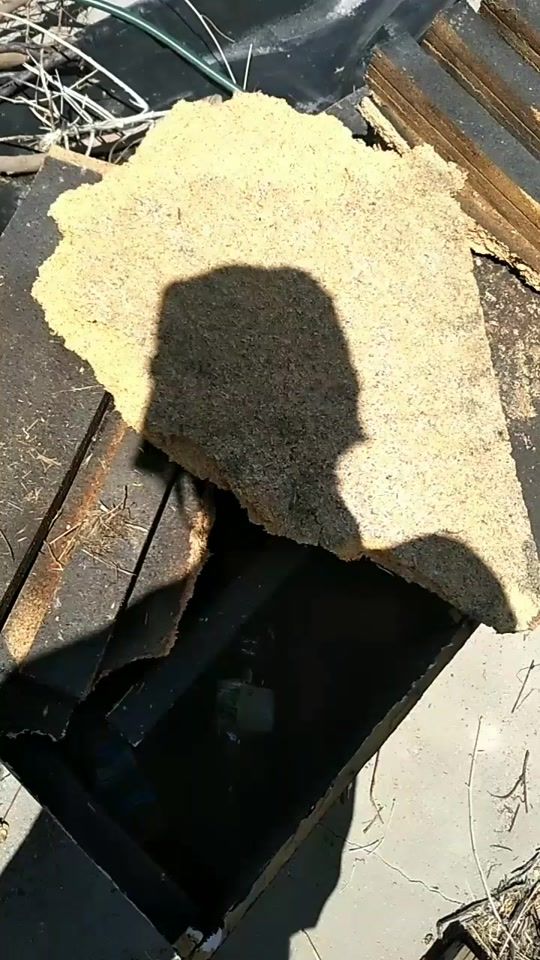TikTok video thumbnail by michael.singss