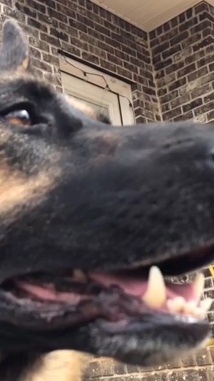 TikTok video thumbnail by thegsdluna