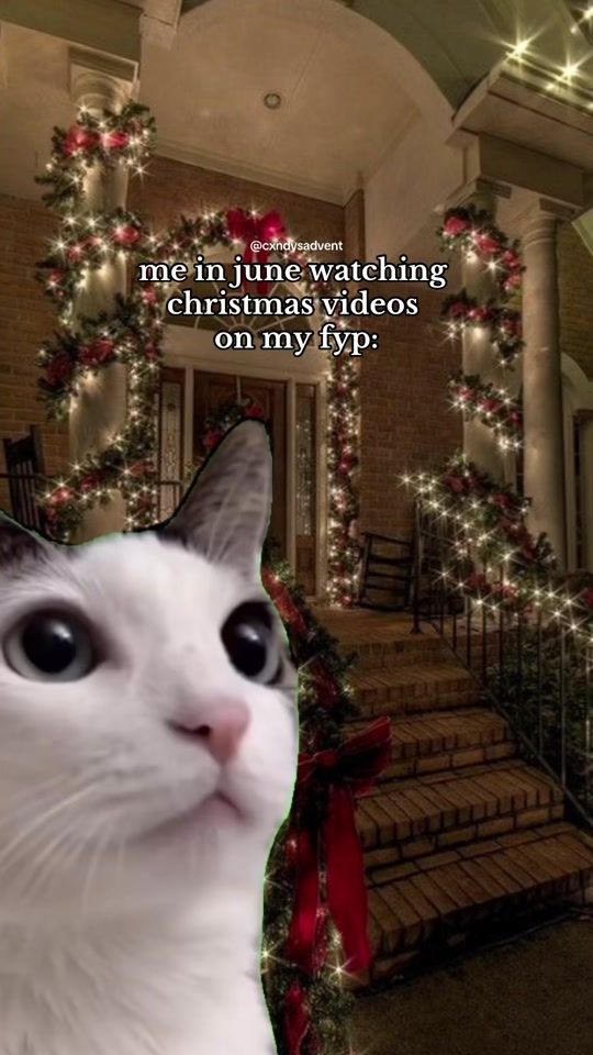 TikTok video thumbnail by cxndysadvent