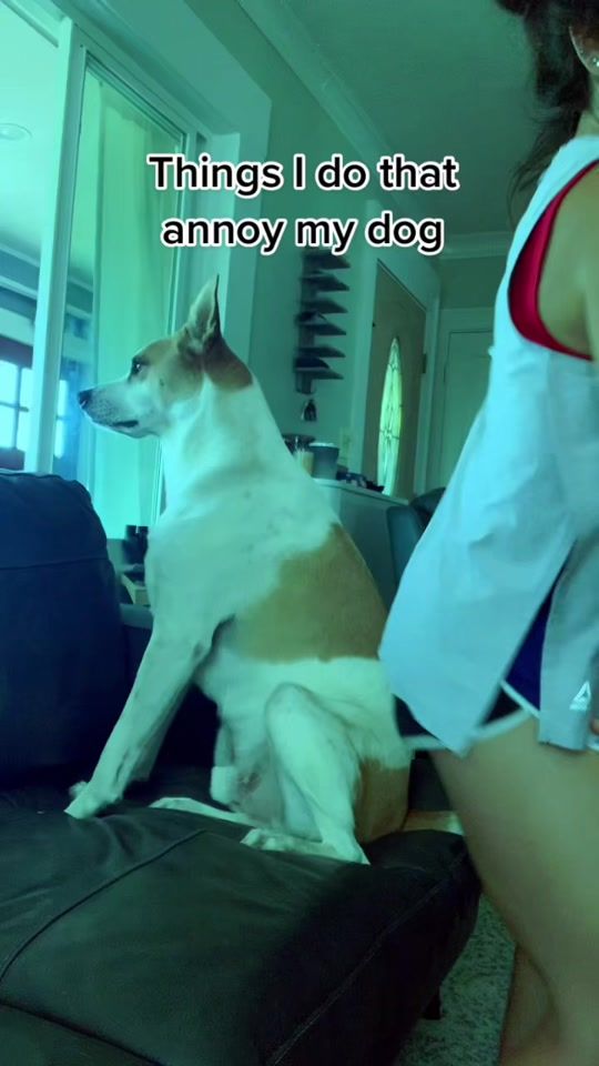 TikTok video thumbnail by kramerdoesntcare