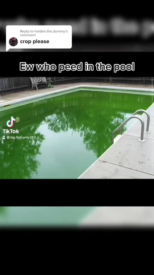 TikTok video thumbnail by its.mullet.bentley