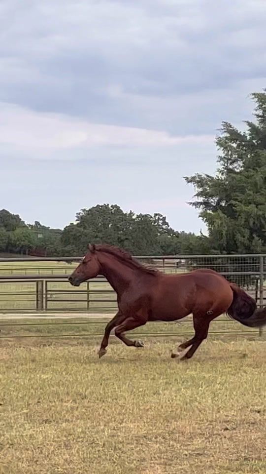TikTok video thumbnail by mckinnonlarcombe