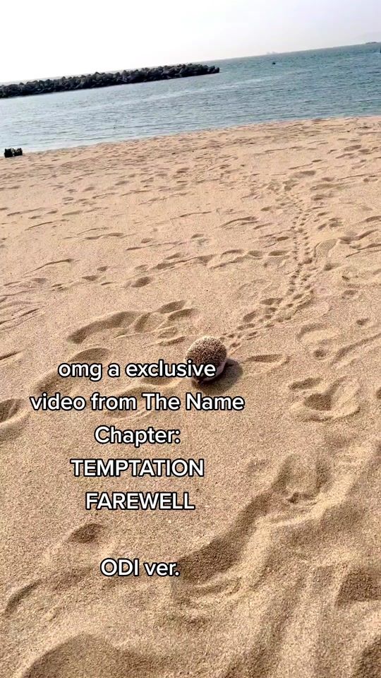TikTok video thumbnail by bangchansbtch