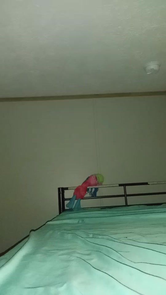 TikTok video thumbnail by 003.ll