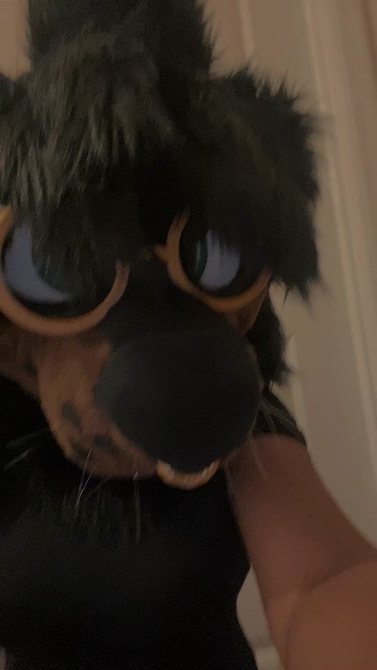 TikTok video thumbnail by mastiff_runaway