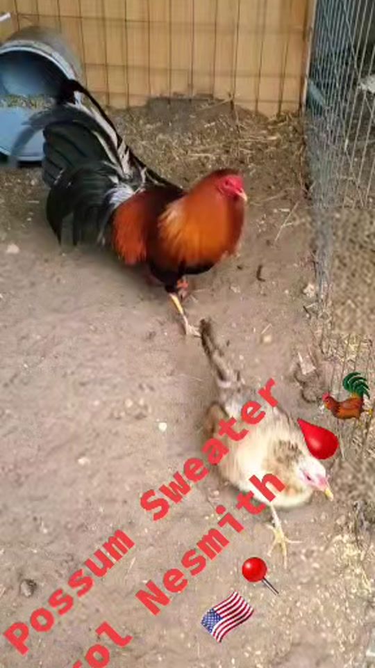 TikTok video thumbnail by jessiedobleh