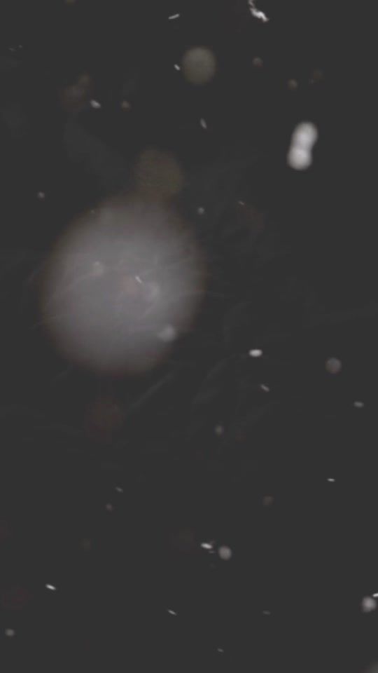 TikTok video thumbnail by princess247889