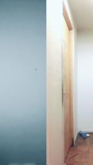 TikTok video thumbnail by steelewolfe