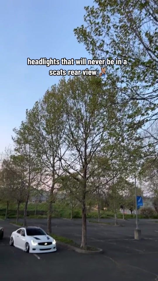 TikTok video thumbnail by srtkev